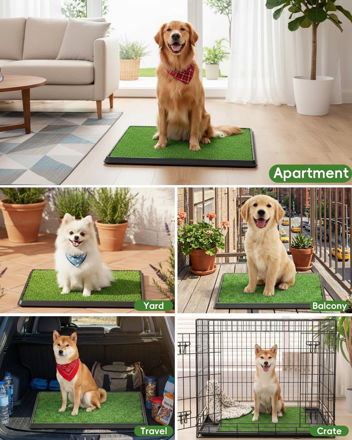 Indoor Dog Grass Pad with Tray – Reusable Potty Solution for Small Dogs