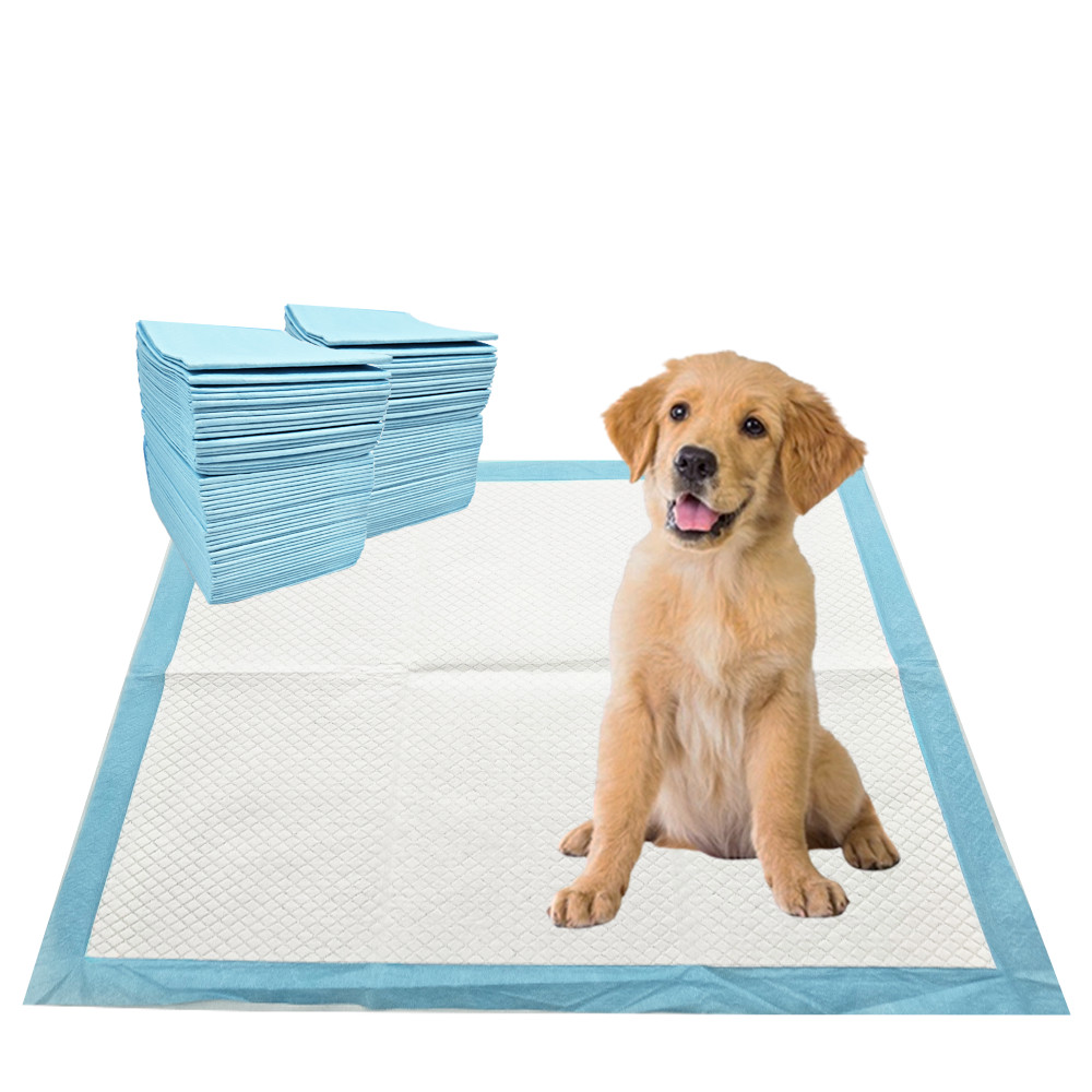 3Q Puppy Pee Pads 100 Count – 22 x 22 Inch Dog Potty Training Pads Cat Rabbits
