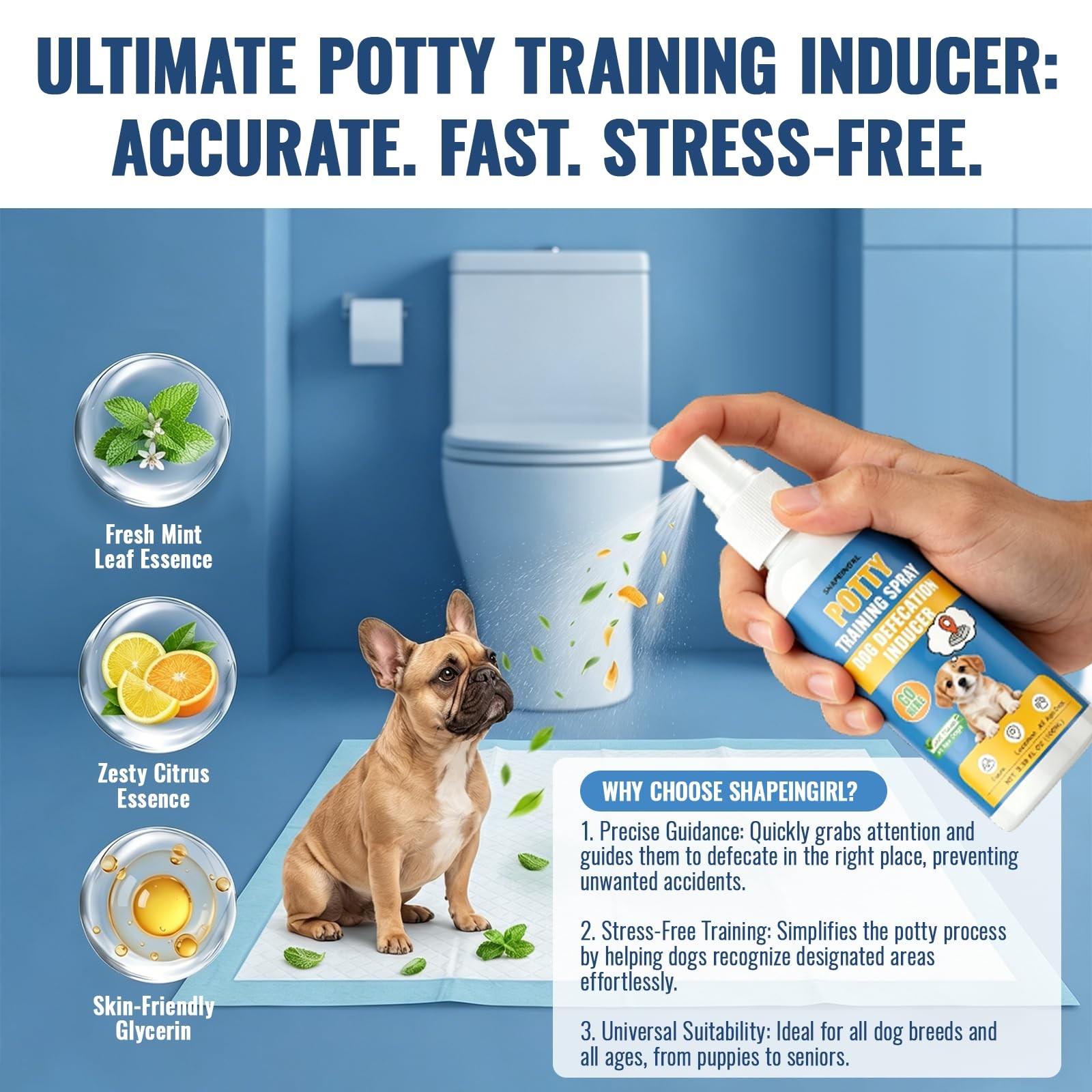 Potty Training Spray for Dogs – Go Here Dog & Puppy…