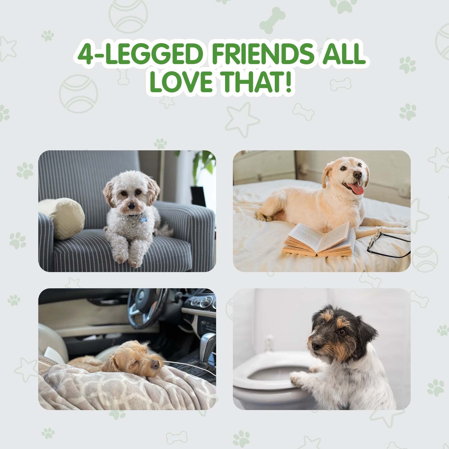 COCOYO Best Value Dog Training Pads | Dog Pee Pads | Super Absorbent Puppy Pads