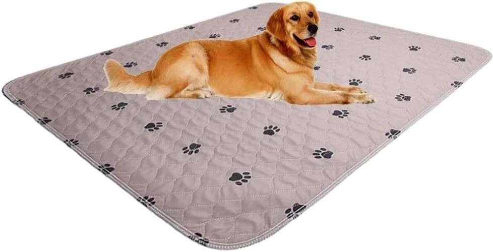 Waterproof Dog Training Pads – Washable, 41×41 Inch, Pack of 2 for Home & Travel