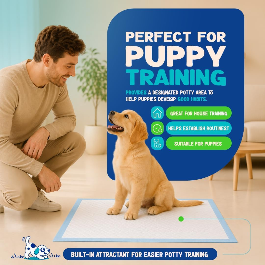 Loofy Pee Pads for Dogs, Training Pads for Dogs, Dog Training Pads, X-Large 35X2