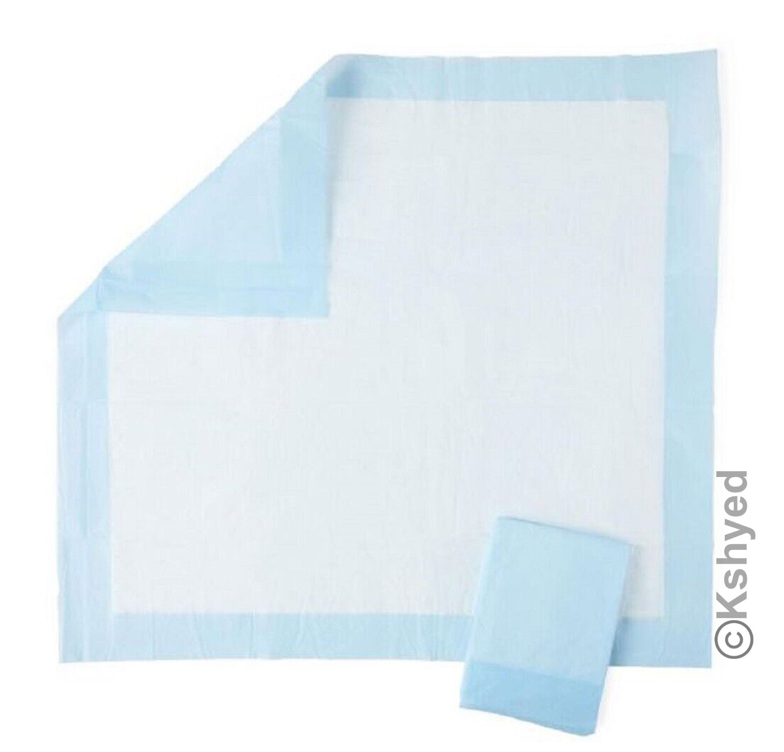 10 PCS (1 Pack) PUPPY PADS PET TRAINING PADS 23.5″ x 23.5″ With Odor Eliminates
