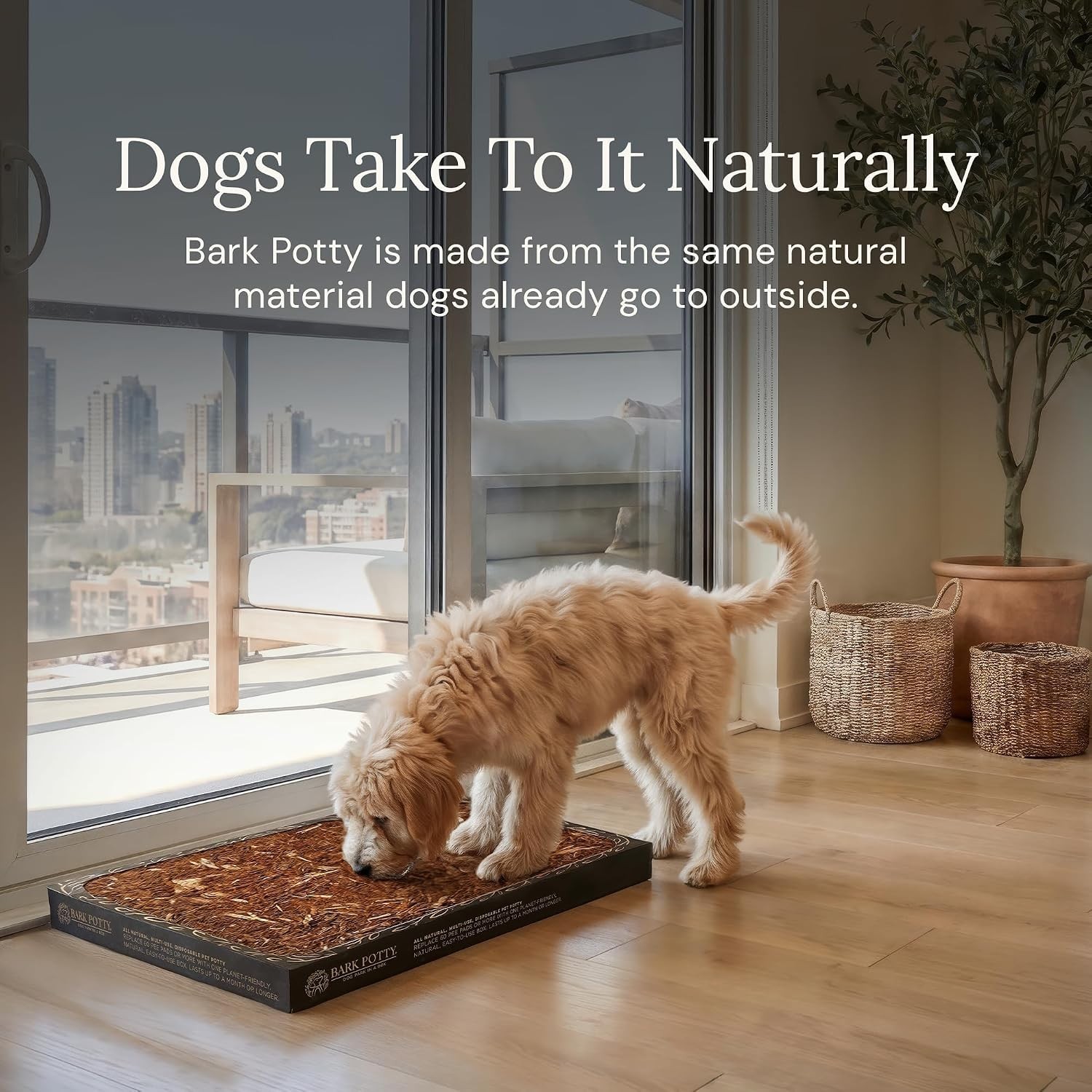 Leak-Resistant Dog Litter Box – Lightweight, Disposable Indoor Potty for Pets