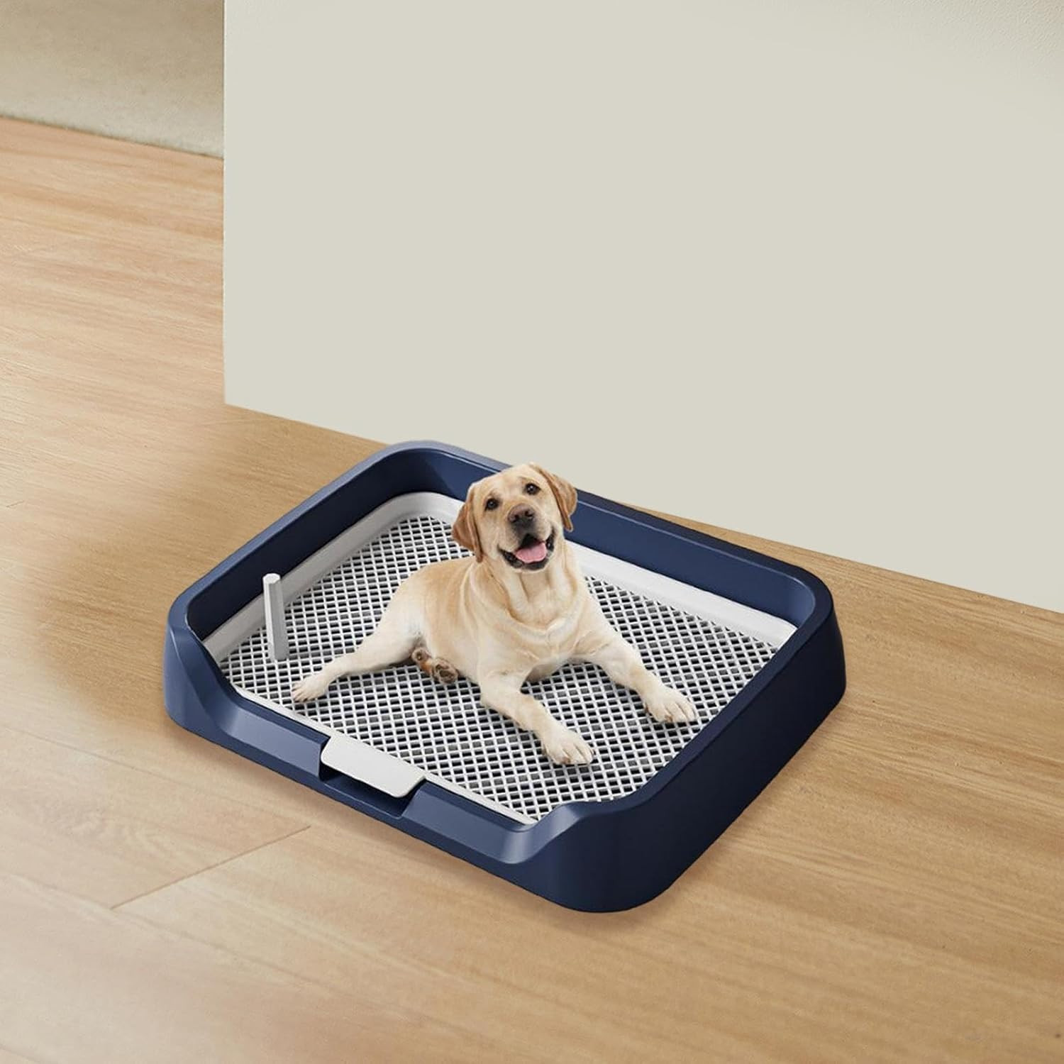 Pet Training Pads Holder Mesh Grids Pet Training Toilet Keep Paws and Floors Cle
