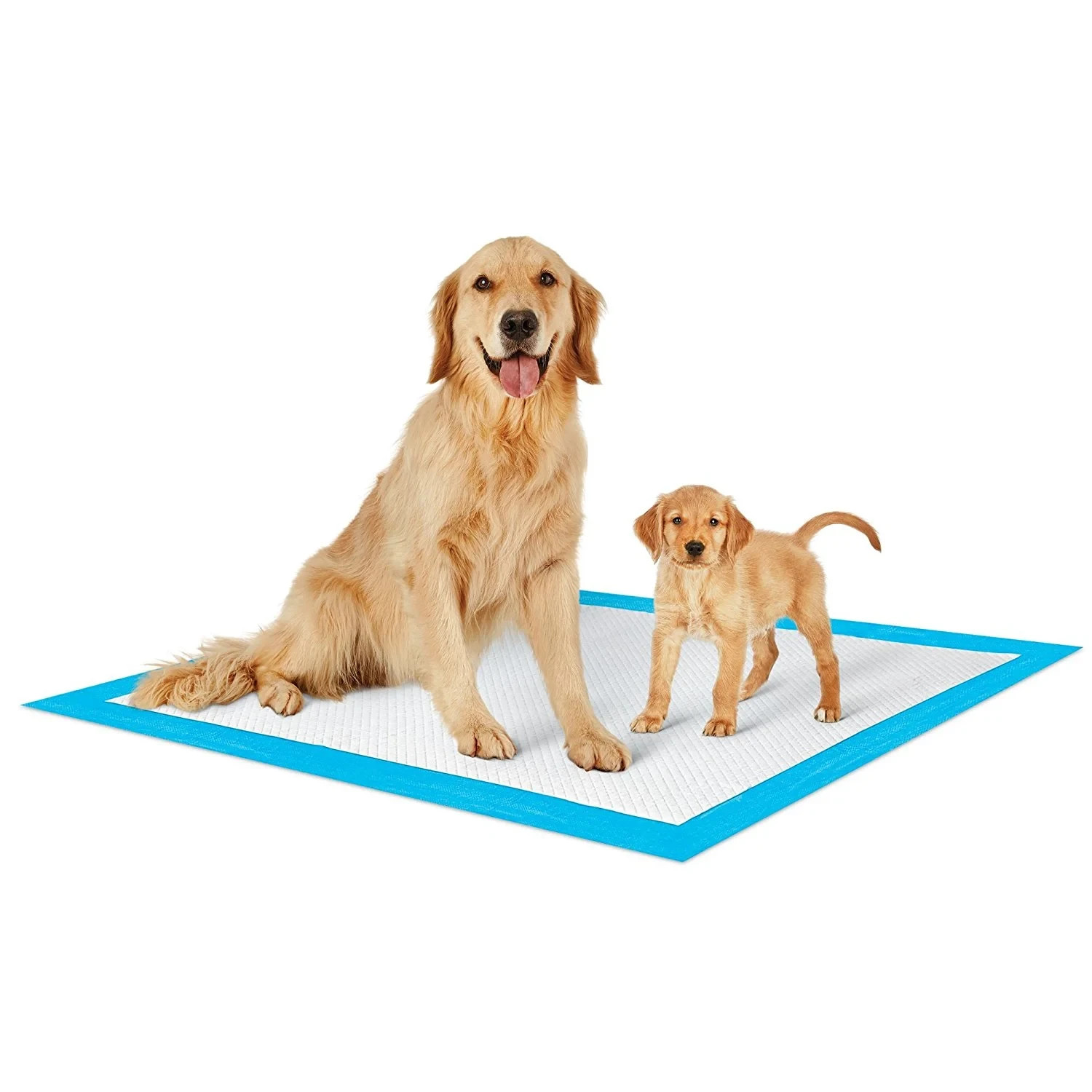 Economy Value Puppy Training & Potty Pads (23×36 inch) 300 Count