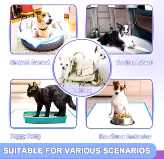 Disposable Pet Puppy Cat Dog Pee Training Pad Wee Wee Pads Express Shipment