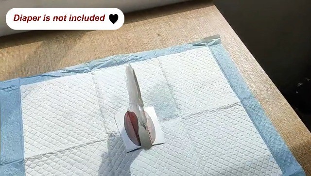 Puppy Potty Training Pads – 20 Hydrant Shaped Pee Post Guides for Small Dogs