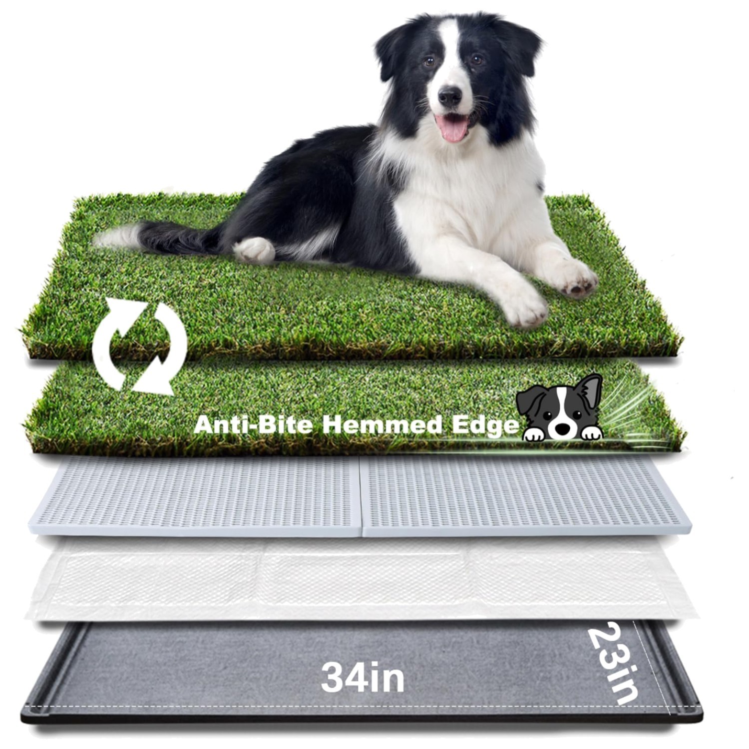 Large Dog Potty for Balcony – High Drainage & Easy Clean