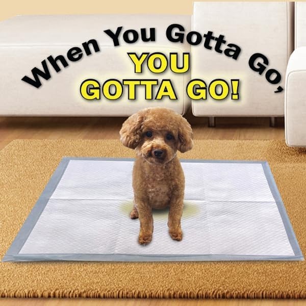 Convenient 12 Pack of Leak-Proof Pet Training Pads – 22″ x 22″ for Home & Travel